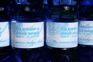 vaimulik_laulupeo_puudelid